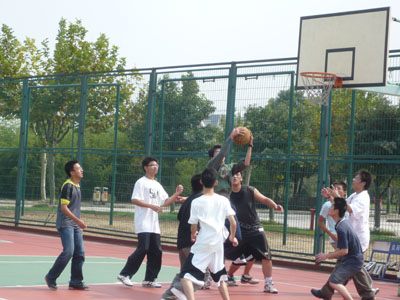 11.jpg